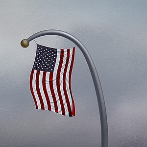 Jon Krause - America, American, American Dream, American Flag, American Made, Americana, Depression, Flag, Politician, Politics, Sad, Sadness, United States
