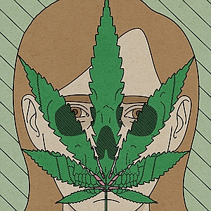 Dan Page - Danger, Illness, Marijuana, Toxic