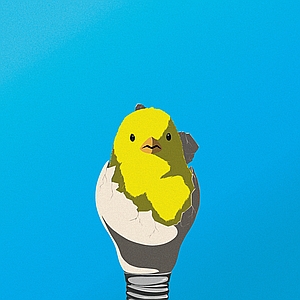 Keith Alexander Lee - Blue, Business, Chicken, Concept, Egg, Funding, Growth, Ideas, Incubator, Investing, Investments, Light Bulb, Startup, Thinking
