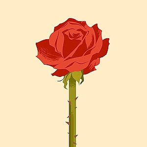 Ester Zirilli - Botanical, Conceptual, Digital, Editorial, Emotions, Graphic, Self-Promotion, Symbolic, Symbols, Vector Art