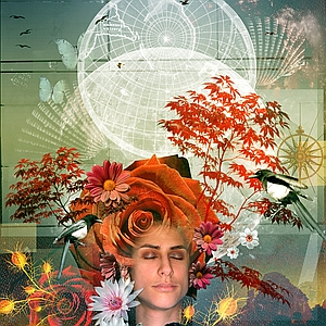 Anthony Robinson - Astrology, Books, Botanical, Children's Book, Fairy Tale, Fiction, Glamour, Montage, Nature, Photo Collage/Photo Illustration, Wildlife, Young Adult